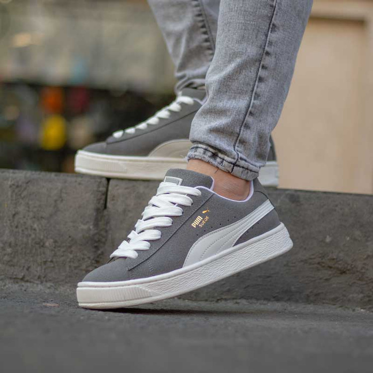 پول سوئد طوسی