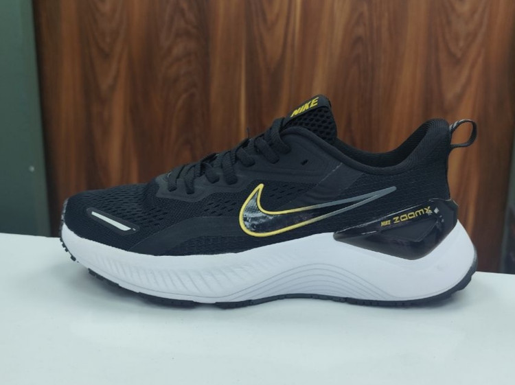 نایک پگاسوس