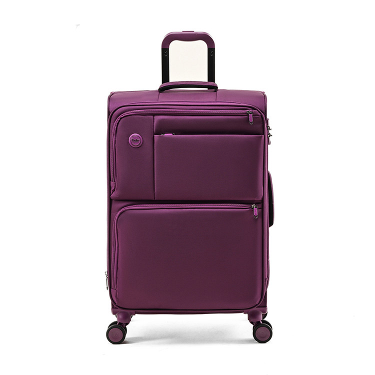 دارای قفل بینالمللیtsa