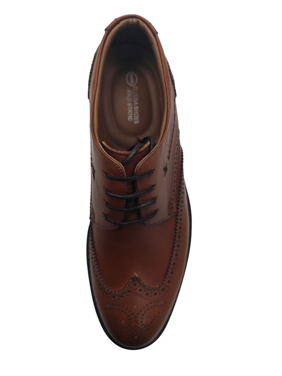 کفش چرم مشترک مردانه