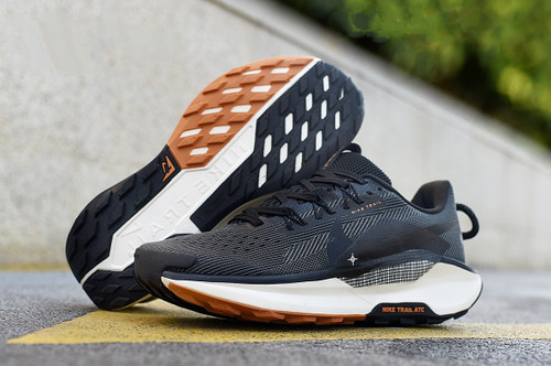 نایک پگاسوس