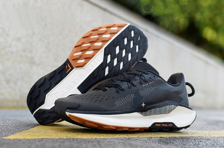 نایک پگاسوس